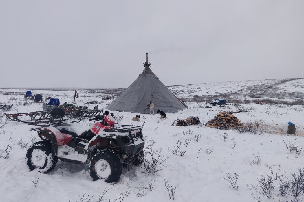 Историческое техобновление Сельхозкооператив Оленевод из Воркуты получит масштабное переоснащение благодаря программе господдержки инициированной Минвостокразвития России Общий объём субвенций на поддержку традиционной хозяйственной деятельности коренных малочисленных народов в арктических районах республики составит 119 25 млн рублей 90 средств поступят из федерального и регионального бюджетов ещё 10 вложит само предприятие На базу хозяйства уже прибыла первая техника два пикапа УАЗ для дальних выездов зоотехнической службы универсальный УАЗ 452 буханка В ближайшее время Оленевод получит ещё девять единиц техники снегоболотоходы аэролодку два УАЗа Газель и квадрокоптеры Общая стоимость поставки 47 млн рублей