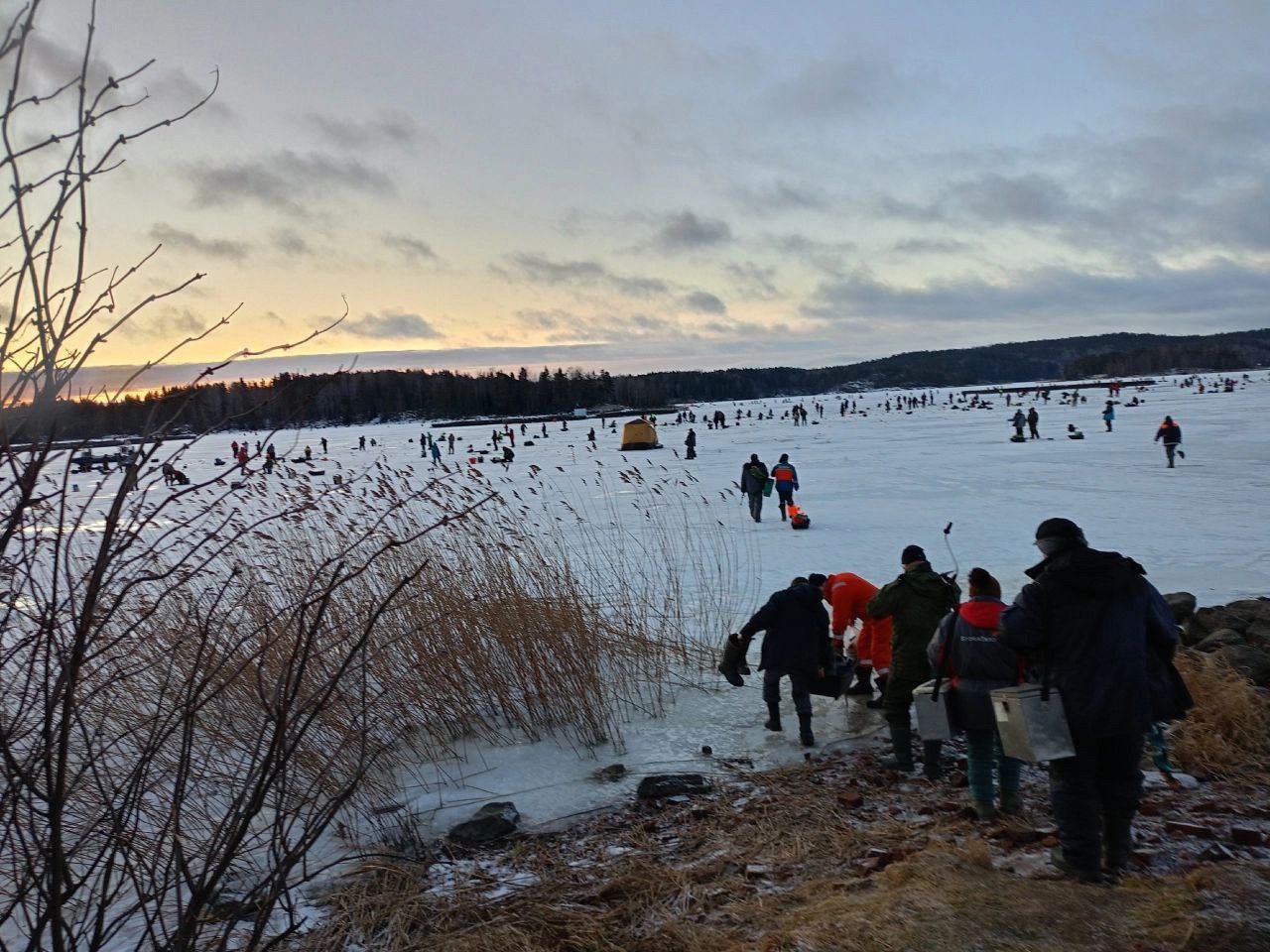 В Сортавале форель «убежала» из садков рыбоводческого хозяйства, сообщают в соцсетях. По данным местных жителей, убытки для бизнеса оказались значительными.  Судя по опубликованным фотографиям, на место массово приезжают рыбаки в надежде выловить форель. Туда приехали даже жители соседнего региона.