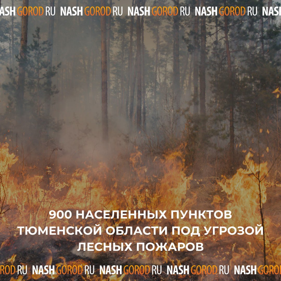 900 населенных пунктов Тюменской области под угрозой лесных пожаров.  В 2025 году лесные и природные пожары могут угрожать более 900 селам и деревням региона, включая Тюмень, Тобольск, Ишим и Ялуторовск. В списке также значатся детские реабилитационные центры, санатории и дачные общества.  Проект постановления опубликован на сайте областного правительства. Среди причин угрозы – высокая пожароопасность лесов и климатические факторы.  Как думаете, какие меры стоит принять, чтобы снизить риск пожаров?    Присылайте новости  .