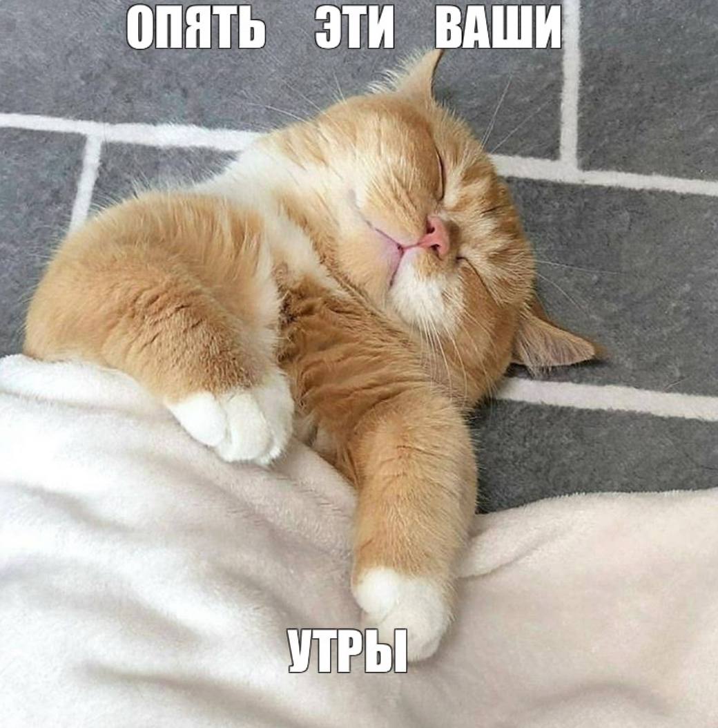 Доброе утро нижегородцы Желаем вам хорошего дня Температура воздуха в Нижнем Новгороде сегодня будет колебаться от 13 до 20 градусов Весь день будет идти дождь Также прогнозируются очень высокая влажность и легкий западный северо западный ветер А еще сегодня отмечается День без косметики и макияжа Подписаться на Нижний Новгород Афиша