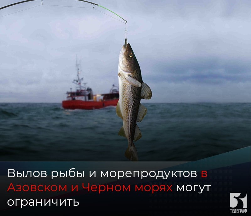 Вылов рыбы и морепродуктов в Азовском и Черном морях могут ограничить.  В Госдуме предложили ограничить вылов рыбы и морепродуктов в Азовском и Черном морях, а также взять на контроль их продажу. Эти действия связаны с разливом мазута после крушения танкеров в Керченском проливе.  Представители рыбного бизнеса поддерживают усиление контроля за продукцией.  Обращение в адрес глав Минприроды и Минсельхоза направил вице-спикер ГД Борис Чернышов.  "Морепродукты, рыба, моллюски способны накапливать в своих организмах токсичные вещества, что делает опасным употребление их в пищу, если воды их обитания были загрязнены. Учитывая эти факты, необходимо принять меры для предотвращения распространения продукции, которая может представлять угрозу для здоровья людей", — подчеркивает Борис Чернышов в письмах в ведомства.  Он также предложил усилить контроль за качеством морепродуктов в торговых сетях, а также провести информационную работу с населением об опасности употребления рыбы и морепродуктов из зон экологических аварий.    ЗАПОРОЖСКИЙ ТЕЛЕГРАФ