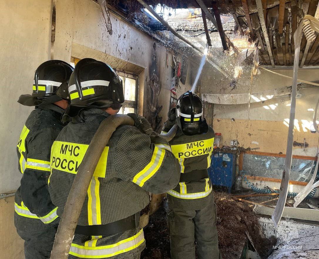 #МЧСсводзасутки За минувшие сутки: Ликвидирован 1 техногенный пожар: в селе Маячка Новотроицкого округа горели три хозяйственные постройки. Ликвидировано 7 ландшафтных пожаров: наибольшие возгорания произошли на территориях Скадовского и Голопристанского округов. Общая площадь пожаров составила более 1500 квадратов. Зарегистрировано 4 лесных пожара: на территории Алешкинского округа произошли возгорания на площади в 8,7 гектаров. Информация о попадании ВОП поступала 3 раза. На водных объектах происшествий не произошло. #БудьВКурсе событий: Херсонская область В России