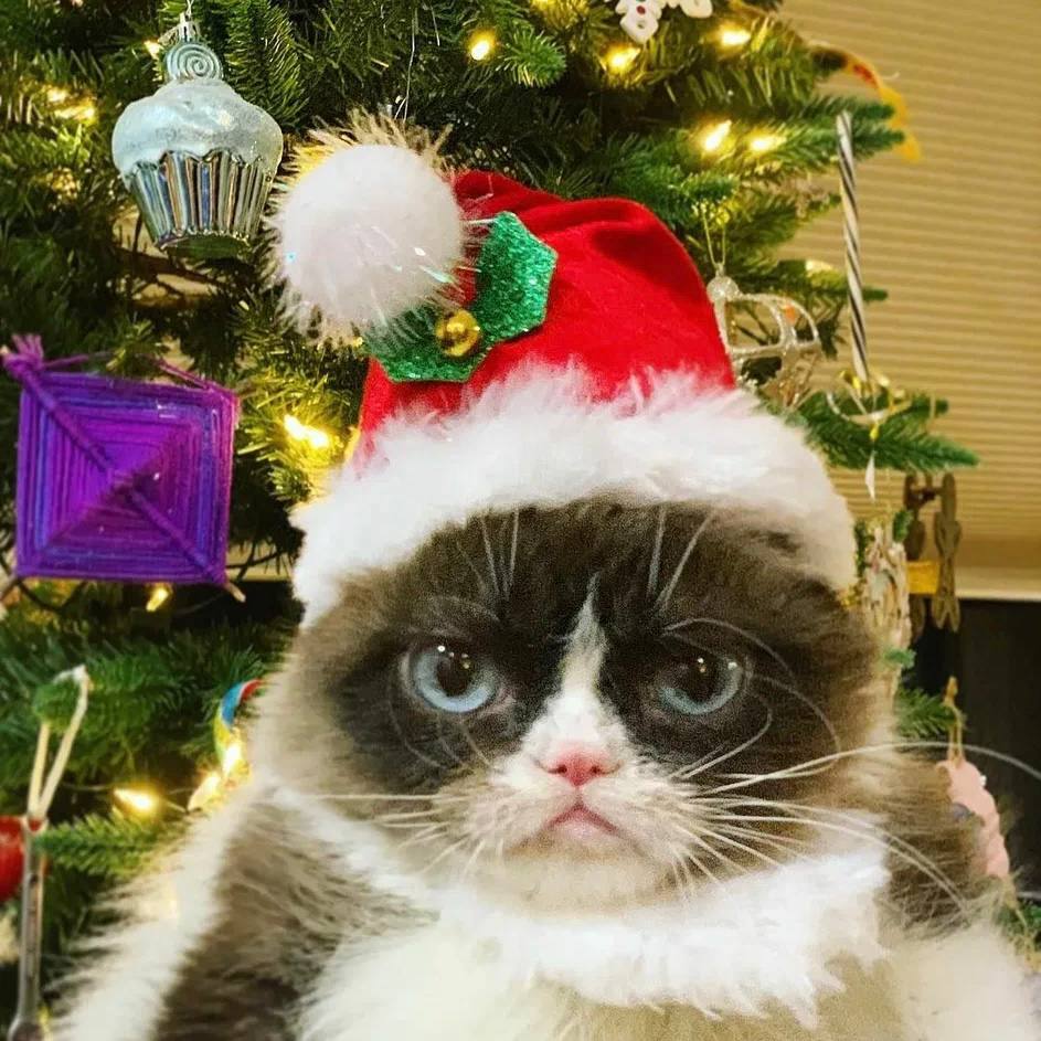 Почти у каждого второго москвича нет новогоднего настроения опрос Ещё 10 жителей столицы имитируют новогоднее настроение чтобы не расстраивать близких