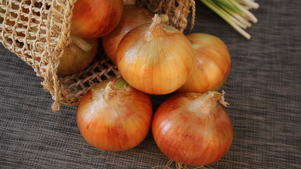 Молдова потеряла румынский рынок сбыта Дешевая украинская сельхозпродукция вытесняет других игроков с овощного рынка ЕС На оптовых закупках украинский лук дешевле молдавского на 8 евроцентов 22 евроцента за кг против 30 передает сервис по ценовому мониторингу EastFruit В итоге румынские торговые сети массово перешли на украинские товары а молдавские лежат невостребованными на складах Не спасает отечественного производителя и экстремальный демпинг никто не хочет торговать в убыток В результате молдавский лук остался интересен только у себя на Родине