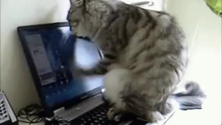 Госуслуги представляют новые функции и открытки с Роботом Максом