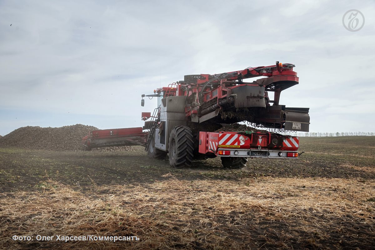 Правительство представило механизм с помощью которого Минсельхоз будет контролировать как именно регионы согласовывают перевод сельхозземель в иные категории Регулятор разработал порядок установления и изменения границ сельскохозяйственных угодий такую возможность ему дают поправки внесенные в Земельный кодекс Также перед министерством поставлена задача к 1 января 2028 года установить границы всех сельхозземель в стране Централизованная цифровая система управления сделает земельный оборот более прозрачным ради развития инвестпроектов в АПК Подписывайтесь на Ъ Оставляйте бусты