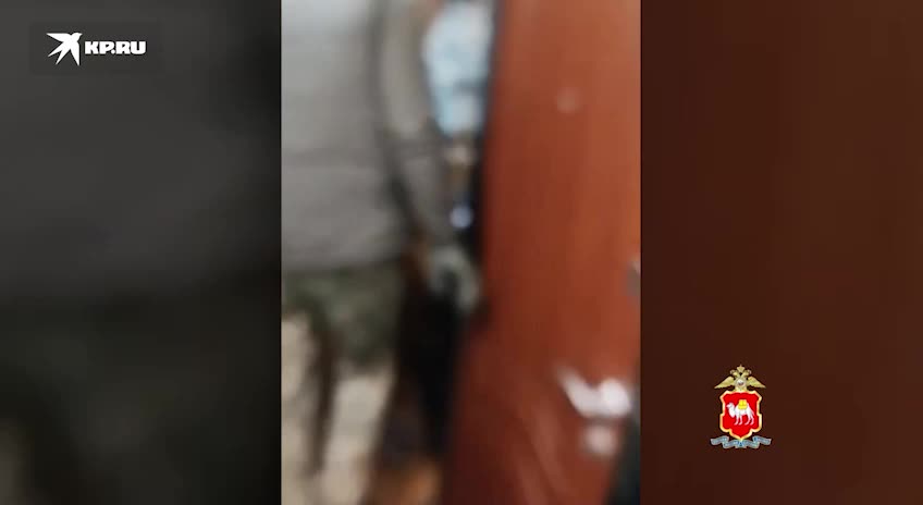 В Челябинске задержан 24-летний кибермошенник, оформлявший кредиты на чужие имена