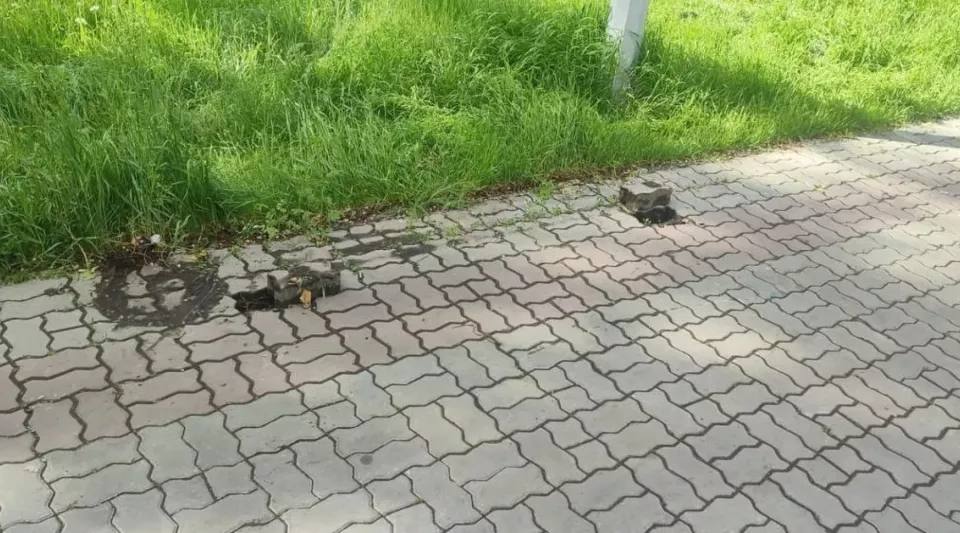 Вандалы оторвали лавочку и выкинули урны в реку в бийском сквере "Не знаю, у кого чесались руки, но как можно было так все изуродовать?! Возможно, там есть камеры просили много раз поставить и наказывать . Найдите этих товарищей и заставьте все восстановить", – обратился бийчанин к местным властям через telegram-канал главы города. На фото видно, что брусчатка частично разобрана по кирпичикам, цветочные горшки разбросаны по территории, урны оказались в Бии, а лавочка валяется рядом, на берегу. В мэрии пояснили, что передали информацию в управление ЖКХ, и заверили, что по факту разгрома сквера обратятся в полицию. Фото: чат главы Бийска ТОЛК