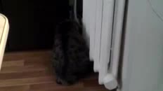 Минэнерго сообщает о новых температурных графиках отопления в условиях сильных морозов