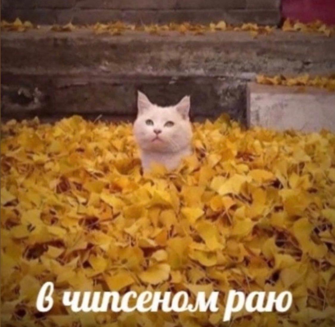 Ой жесть все в листьях Все откопали В галерее Хазинэ откроется выставка Геннадия Дубровина Казань глазами инженера обновила экскурсию Как холерная окраина стала культурным центром В Казани пройдет кибертурнир по Counter Strike 2 и FIFA 25 Фонд Галеев Прометей подготовил программу к 85 летию Булата Галеева На театральной площадке MOÑ пройдет лекция о любви в исламе Торговые лавки купцов Юнусовых и Утямышевых внесут в реестр ОКН Жилой дом архитектора Коринфского войдет в список объектов культурного наследия Сила ветра организует вечеринку в честь закрытия сезона В Казани пройдет акция Неделя здоровья груди
