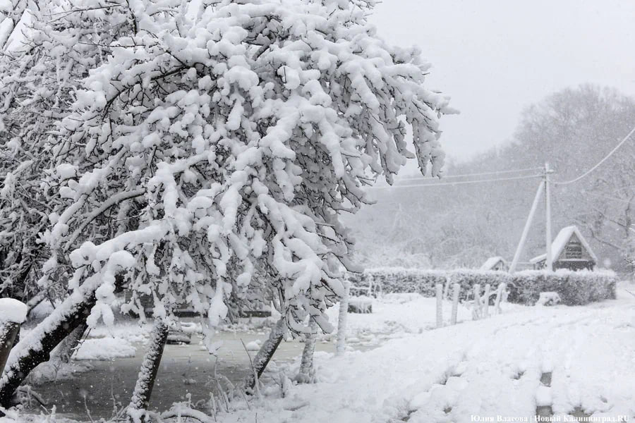 До 10 см снега и −13°C: прогноз погоды в Калининграде на выходные   Над Балтийским морем 14 февраля начнёт работать «конвейер» снежных зарядов, первые из которых должны затронуть побережье, запад и Калининград уже днём или к вечеру пятницы. «В субботу на фоне холодного атмосферного фронта над Балтикой ожидается формирование волнового циклона с интенсивными снегопадами, которые уже охватят весь регион, укрыв пейзажи снежным покровом  до 5-10 см и более . Ухудшится видимость на дорогах, появятся снежные заносы», — предупреждают синоптики.