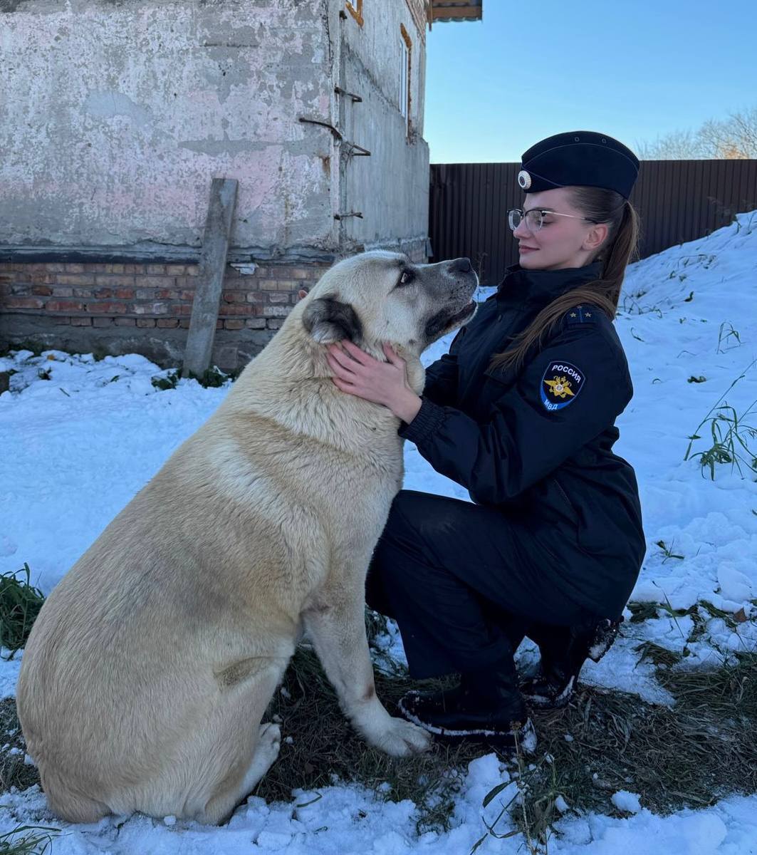 Полицейские вернули жительнице Кормиловского района похищенную со двора собаку Взволнованная женщина из села Победитель обратилась в правоохранительные органы с сообщением о том что мужчина похитил её годовалого щенка Сотрудники уголовного розыска выяснили что алабая по имени Грета ей подарили три месяца назад Два мужчины приехали к женщине и пытались уговорить продать собаку но она отказалась Пока один из гостей отвлекал её разговорами второй вышел во двор вывел Грету за ворота и посадил в машину Потом позвал приятеля и они уехали не обращая внимания на хозяйку К концу того же дня оперативники нашли собаку похититель спрятал её у знакомого в соседней деревне Позже был задержан и сам злоумышленник Грету вернули хозяйке В настоящее время решается вопрос о возбуждении уголовного дела Фото Омская полиция Подписывайтесь на 12 канал в МАХ