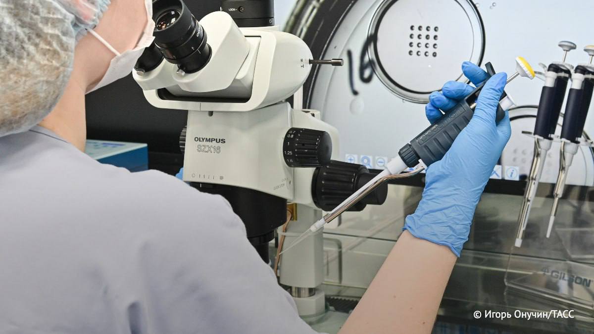 Открыт закон объясняющий хаотичное движение хромосом Об этом сообщила пресс служба Сколтеха   Ключ к разгадке лежит в рассмотрении не точечного а коллективного движения целых сегментов ДНК Теперь ученые могут объяснить почему плотно свернутые молекулы ДНК остаются достаточно подвижными для важных клеточных процессов Фото и информация ТАСС знаниевгороде