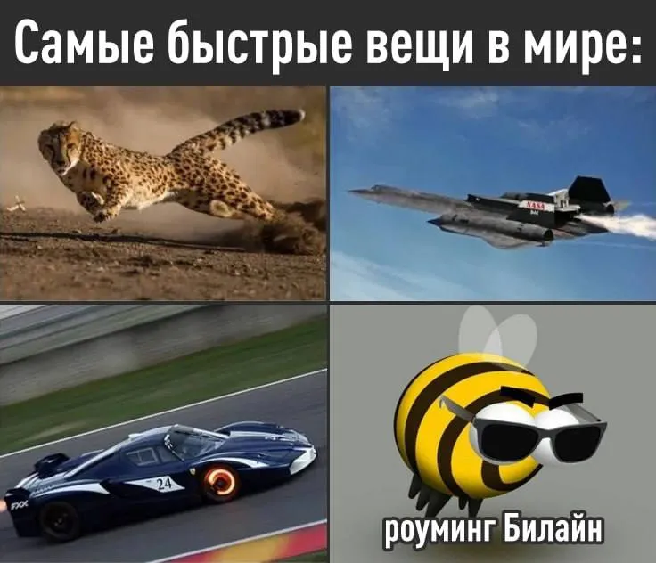 Билайн представил 5G в международном роуминге Теперь пользователи могут воспользоваться связью пятого поколения в более чем 30 странах таких как Турция Китай Таиланд ОАЭ США и государства СНГ Компания отмечает что новый сервис охватывает ключевые туристические направления и доступен 80 клиентов находящихся за границей С нововведением фото от друзей из поездок будут приходить ещё быстрее TechGPTNews