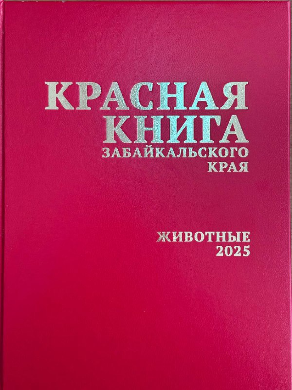 Минприроды Забайкалья издана Красная книга Забайкальского края том Животные В течение последних пяти лет Министерством природных ресурсов и экологии Забайкальского края совместно с учеными региона которые собирали и систематизировали информацию проводилась масштабная организационная научно исследовательская работа по изданию Красной книги том Животные Красная книга Забайкальского края опубликована с измененным Перечнем объектов животного мира внесенных в Красную книгу Забайкальского края Всего в новое издание включены 170 видов животных что на 35 видов меньше предыдущего варианта Изменения связаны с появлением новой информации о численности и распространении видов исключение видов из Красной книги Российской Федерации изменение численности видов в сторону увеличения на территории региона изменение таксономических данных При этом некоторые виды животных были впервые включены в Перечень сообщили в Минприроды Забайкалья Авторский коллектив представлен специалистами института природных ресурсов экологии и криологии СО РАН Читы государственного природного биосферного заповедника Даурский села Нижний Цасучей института систематики и экологии животных СО РАН Новосибирска Института общей и экспериментальной биологии СО РАН города Улан Удэ Также издание доступно в электронном варианте   Подписывайтесь TG VK MAX