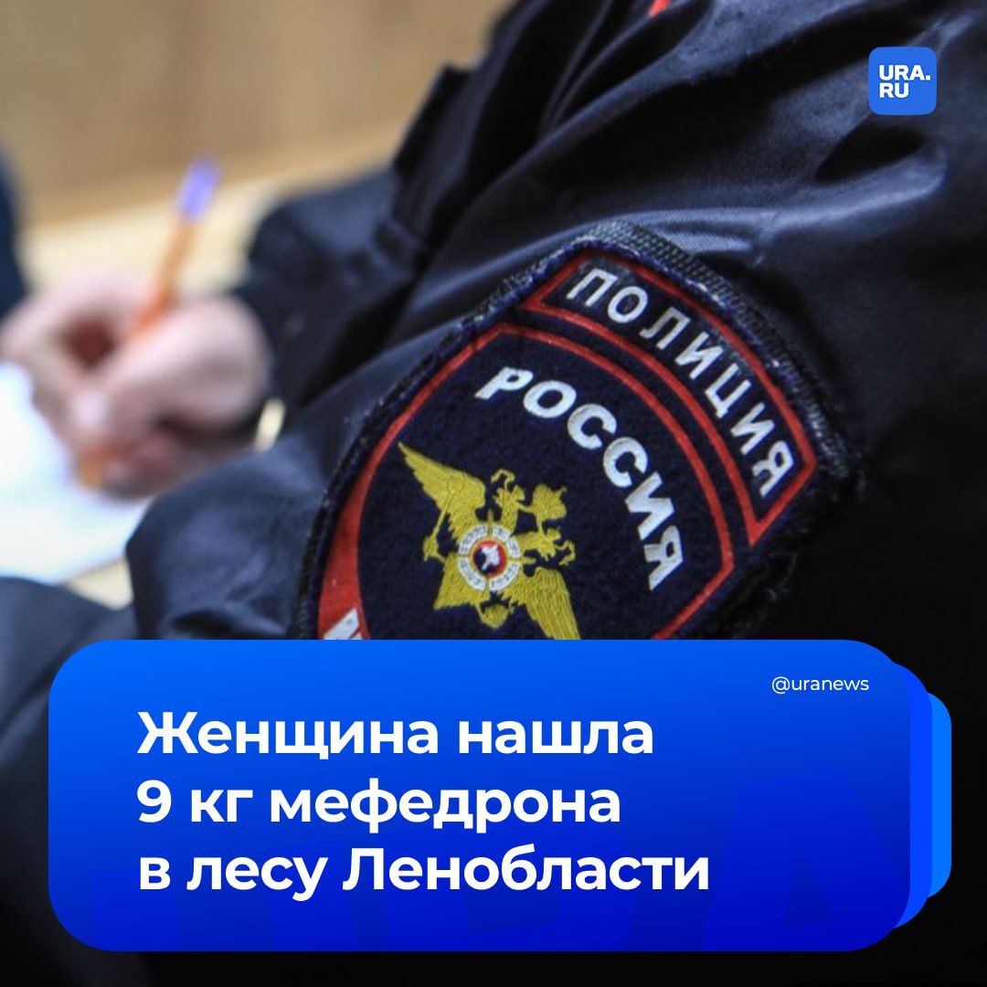 Случайно нашла 9 кг мефедрона Женщина из Ленобласти гуляя по лесу в поисках грибов обнаружила пакеты с наркотиками По данным Фонтанки 20 августа в полицию позвонил мужчина который рассказал что в лесочке у дома 35 по Серебристому проезду его жена нашла пакеты с неизвестным белым порошком Прибывшие сотрудники насчитали девять упаковок с веществом Позже эксперты проверили находку и установили вид наркотика владельцев мастер клада ищут Подписаться на URA RU