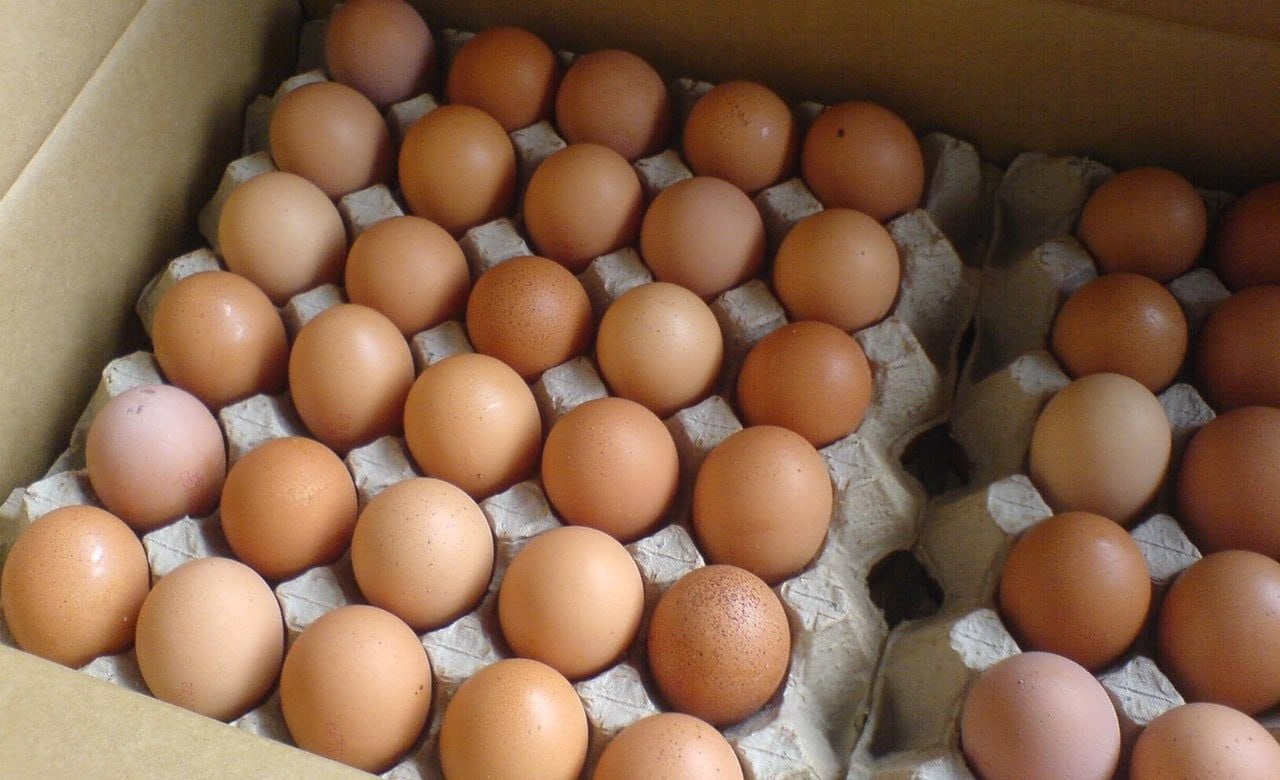 Казахстан на месяц запретил ввоз на территорию страны свежих куриных яиц из третьих стран а также из стран Евразийского экономического союза согласно приказу главы Минсельхоза страны такие меры направлены на поддержку отечественных товаропроизводителей