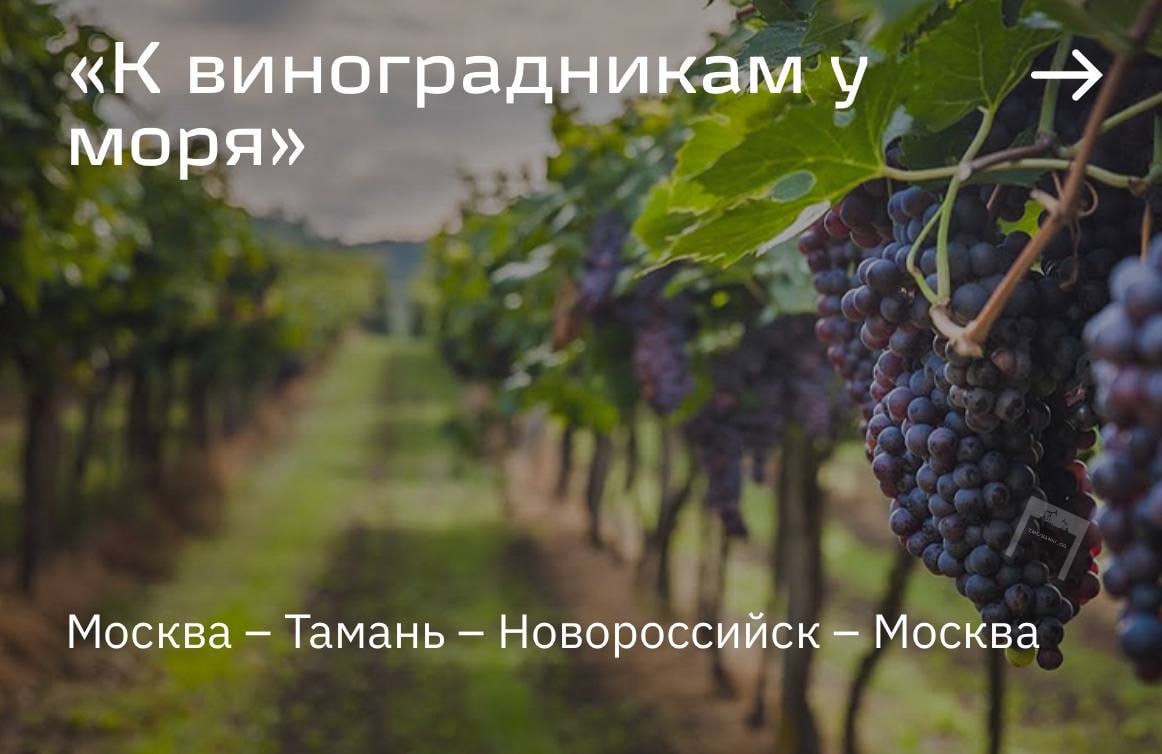 РЖД запускает винные туры на поезде-отеле. Первая поездка состоится уже 4 сентября и продлится пять дней. Маршрут будет пролегать через живописный Таманский полуостров. Во время поездки будут эксклюзивные экскурсии, дегустации и посещение улиточной фермы. Гостям покажут винодельни «Шато Тамань», «Фанагория», «Шато де Талю», а также агротуристический комплекс Chateau Pinot и Центр винного туризма Абрау-Дюрсо.