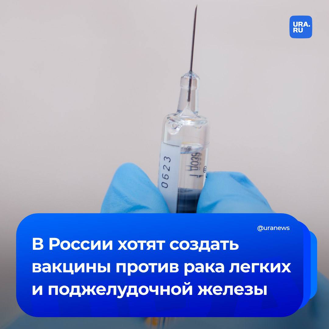 В России планируют создавать вакцины против рака легких, почек, груди и поджелудочной железы, рассказал ТАСС директор Национального исследовательского центра эпидемиологии и микробиологии Александр Гинцбург.  Ученый допустил, что испытания могут начаться уже в конце 2025 года при условии оговоренных объемов финансирования:   «[Хотим, чтобы] была возможность создавать вакцины против мелкоклеточного рака легких, как известно, самого распространенного рака человека с наибольшей летальностью, тяжелыми исходами. Далее, по всей видимости, определенные [разновидности] рака почек, возможно, рак груди и рак поджелудочной железы — вот наши планы», — подчеркнул Гинцбург.