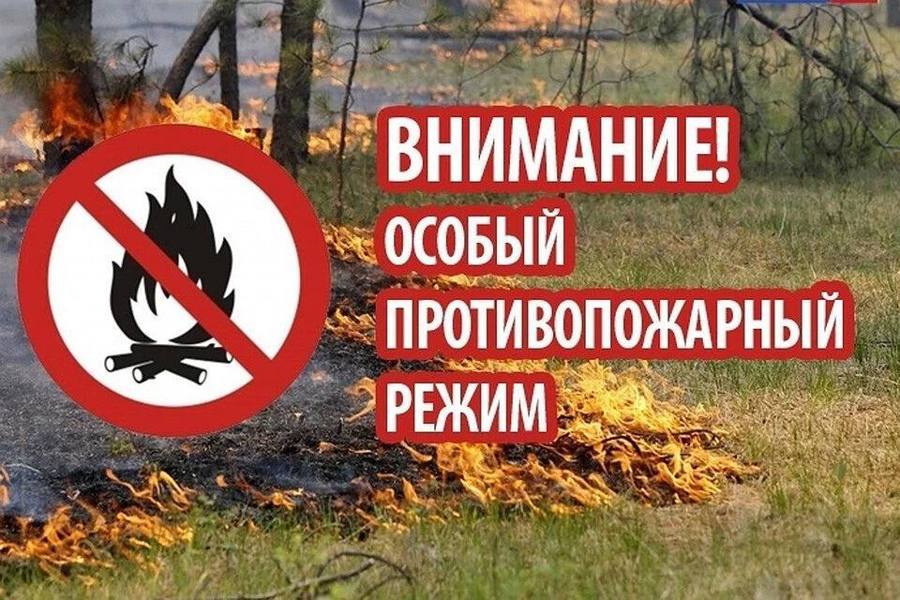 Постановлением Губернатора Волгоградской области от 30.05.2025 г. № 303 «Об особом противопожарном режиме на территории  Волгоградской области»  со  2 июня 2025 года на территории всей Волгоградской области, объявлен ОСОБЫЙ ПРОТИВОПОЖАРНЫЙ РЕЖИМ.      В период действия особого противопожарного режима: — устанавливается запрет на разведение костров, а также сжигание мусора, травы, листвы и иных отходов, на придомовых территориях частных жилых домов,  и территориях торговых точек;   —  вводится запрет на выжигание сухой растительности на земельных участках населенных пунктов;   — устанавливается запрет на посещение гражданами лесов;   — временно приостанавливается использование мангалов и иных приспособлений для тепловой обработки пищи с помощью открытого огня ; Соблюдение этих элементарных правил пожарной безопасности убережет ваши дома и надворные постройки от огня и сохранит жизнь!  Нарушение требований пожарной безопасности влечет предупреждение или наложение административного штрафа!