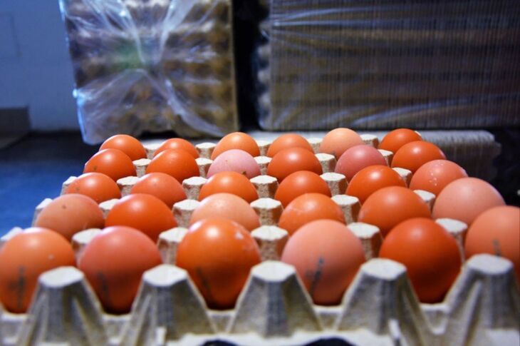 В Крыму пошли в рост цены на яйца и мясо В Крыму цены в сентябре выросли на 0 8 по сравнению с августом В регионе подорожали продукты и непродовольственные товары в то время как стоимость услуг снизилась На рост цен повлияло несколько факторов производители и поставщики продолжили переносить в стоимость продукции возросшие расходы в том числе на зарплаты персонала и логистику Кроме того на рынках отмечалось сокращение предложения отдельных товаров Заметнее всего в сентябре в регионе подорожали яйца Основная причина рост издержек производителей на корма и логистику При этом средняя цена на яйца в Крыму остается меньше чем в среднем по стране за год их стоимость снизилась более чем на 15 Мясопродукты подорожали по двум причинам Во первых увеличи Подробнее