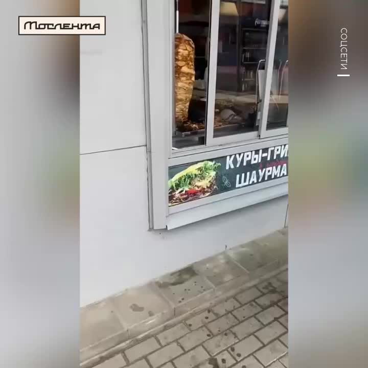 Голуби устроили перекус в московской шаурмечной