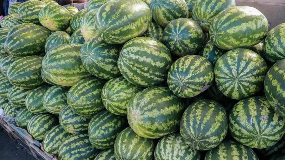 Овощи и бахчевые из Херсонской области поставляют в другие регионы России Аграрии Херсонской области экспортируют овощи арбузы сыры и масло в другие регионы России сообщила в интервью ХАН и о министра агропромышленного комплекса продовольственной политики и рыболовства Херсонской области Алиме Зарединова Овощная продукция и бахчевые отправляются далеко за пределы Херсонской области Наши известные херсонские арбузы поставляются по всей России В торговых сетях соседних субъектов к примеру Ростовской области и Крыма можно увидеть нашу молочную продукцию сыры и масла сказала Зарединова При этом сельхозпроизводители полностью обеспечили потребности Херсонской области в зерне овощах открытого грунта и бахчевых культурах а также некоторых видах молочной продукции Жители региона пока не в полном объеме обеспечены мясом говядины свинины и птицы собственного производства но власти рассчитывают реализовать несколько инвестиционных проектов чтобы повысить уровень производства Полное интервью с Алиме Зарединовой читайте 20 ноября на сайте Херсонского агентства новостей