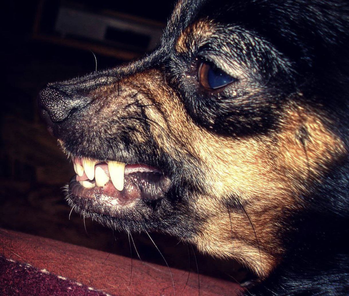 В Риге запретили запускать салюты в Новый год по московскому времени За нарушение будут штрафовать По этому вопросу необходимо чётко обозначить свою позицию и солидарность с Украиной заявил вице мэр латвийской столицы Эдвардс Ратниекс Важно чтобы в 11 вечера Новый год не отмечали Потому что это какой то нигилизм в отношении моей страны Потому что в моей стране Новый год в 00 часов ночи А празднуют в 23 Почему Что происходит Это жители России приехали сюда салют пускать Вряд ли Поэтому это и немного идеологический вопрос сказал депутат Рижской думы Гирт Лапиньш Записки Феликса отправь другу