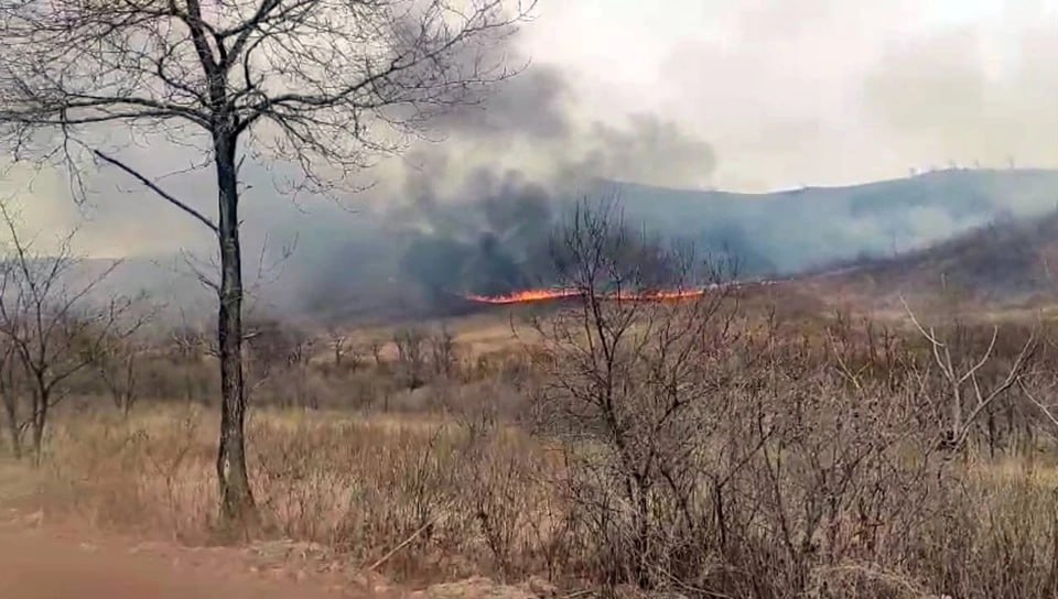 Пожар на «Земле леопарда» успешно потушен  Сотрудники нацпарка и Приморской базы авиационной охраны потушили природный пожар рядом с охраняемой территорией    Пожар начался в районе железнодорожной станции Пожарский. Пожарные быстро прибыли на место, но сильный ветер разнёс огонь по сухой траве, затронув территорию национального парка.    Более 45 человек работали шесть часов, чтобы остановить огонь и ликвидировать очаги возгорания, включая один экипаж МЧС. В результате их усилий пожар не распространился дальше вглубь «Земли леопарда»   Предварительно, площадь возгорания составила 90,21 гектара, из которых 40,6 гектара находились на территории нацпарка.    Угроза для редких экосистем, включая места обитания дальневосточных леопардов, была устранена. В настоящее время устанавливаются причины пожара, и специалисты рассматривают как природные, так и человеческие факторы.   Фото: «Земля леопарда»