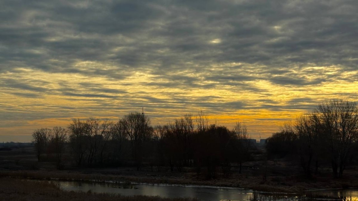 В Самарской области ожидаются продолжительные магнитные бури до 28 ноября В воскресенье 23 ноября прогнозируется малая буря силой в 4 балла Она продлится до середины дня 25 ноября а затем усилится до умеренной достигнув отметки в 5 баллов Такая ситуация сохранится до 27 ноября после чего буря начнет постепенно ослабевать К вечеру 28 ноября она стихнет до слабой в 3 балла Врачи советуют метеозависимым и чувствительным людям в эти дни быть особенно внимательными к своему здоровью Возможны головные боли слабость сонливость а также снижение концентрации внимания ГТРК Самара MAX lВК lОК lСАЙТ