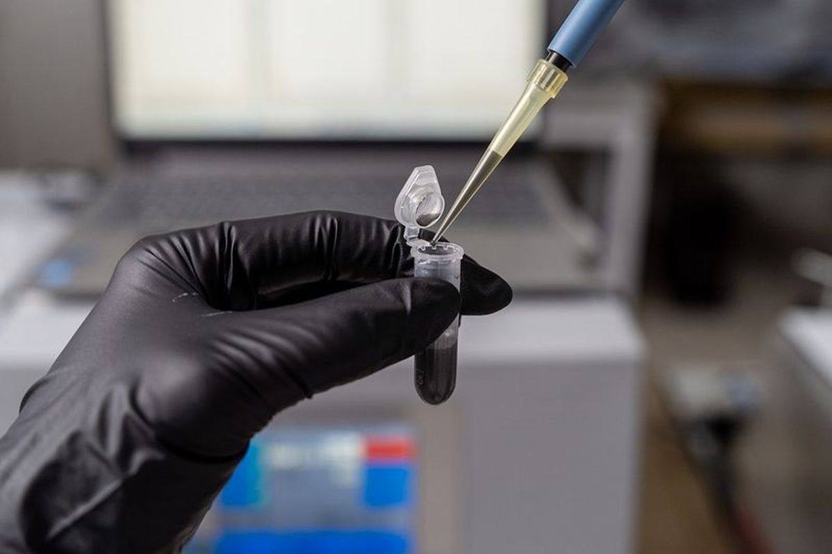 Ученые института Росатома разработали уникальный никелевый сплав для энергоустановок нового поколения