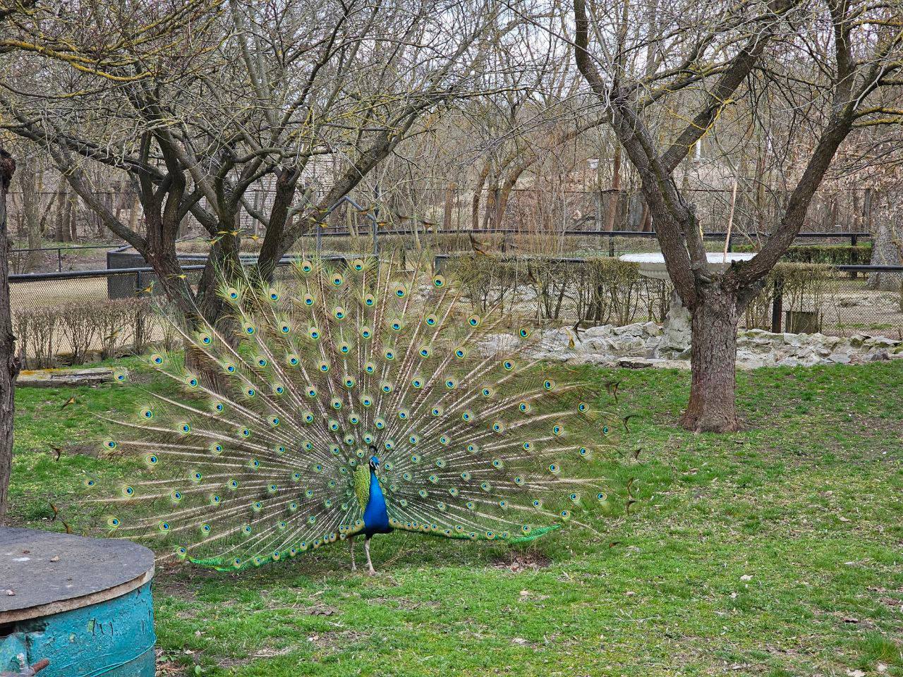 В Аскания Нова может появиться новая точка отдыха с видом на заповедник Губернатор Владимир Сальдо заявил что этот проект заложен в программу развития туризма до 2030 года   Подписаться