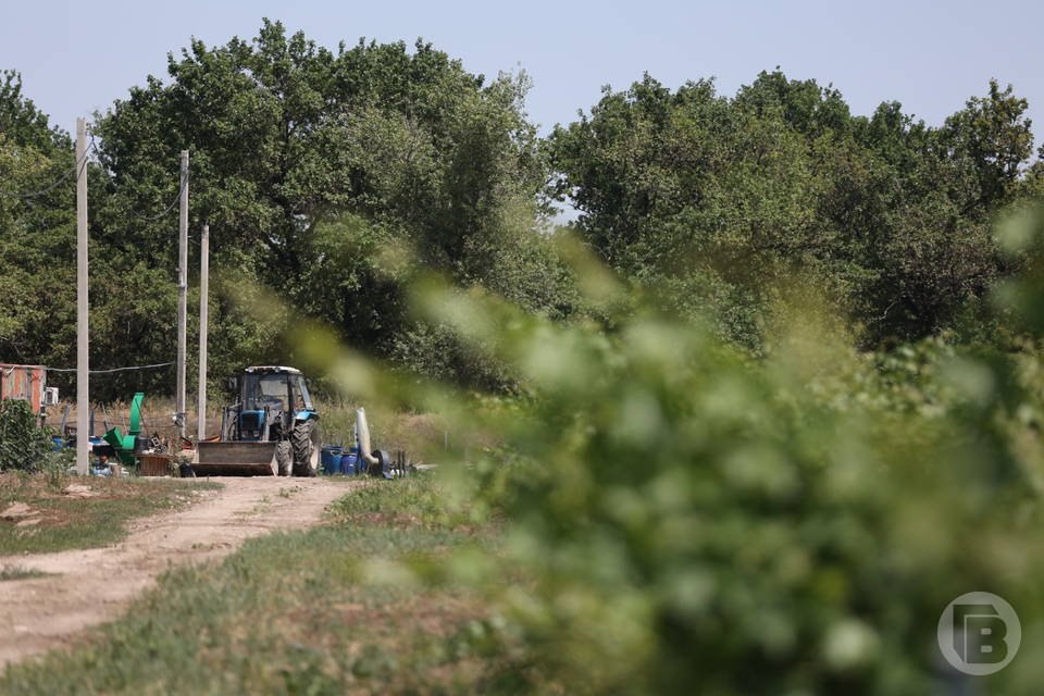 Сельские кадры разбавят состав Молодежного парламента Волгоградской области Облдума примет поправки в региональный закон Волгоградская областная дума может снять запрет на вхождение в состав Молодежного парламента региона депутатов из представительных собраний С такой инициативной выступил Молодежный парламент Как сообщили Городским вестям в пресс службе облдумы согласно действующему региональному законодательству членами Молодежного парламента не могут быть лица замещающие любые государственные или муниципальные должности Молодые парламентарии предлагают исключить указанную норму Члены Молодежного парламента считают что привлечение в состав объединения активных представителей молодежи обладающих опытом работы на муниципальном уровне позволит повысить эффективность его работы Ожидается что данный законопроект будет рассмотрен на заседании Волгоградской областной думы