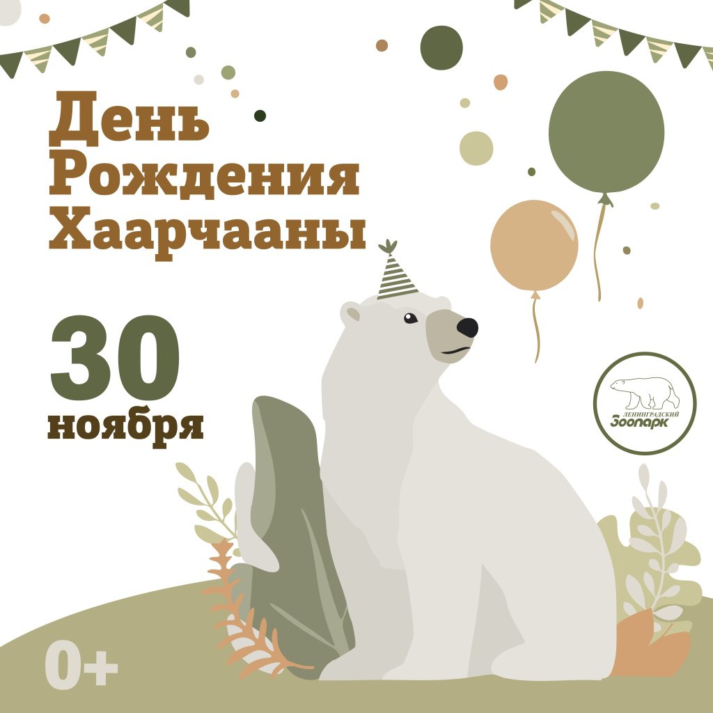 В воскресенье белая медведица Хаарчаана любимица Ленинградского зоопарка приглашает всех на свой день рождения Ей исполняется девять лет Она приехала к нам совсем крошечным медвежонком и сразу полюбилась как сотрудникам так и посетителям На празднике взрослые и дети смогут вспомнить весёлые проказы Снежинки её первые игры и спортивные достижения попробовать поиграть с игрушками хищницы сделать открытку с добрыми пожеланиями и конечно же задать вопросы ведущему зоологу за ней ухаживающему