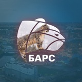 Аватар Телеграм канала: IvanovoNEWS | Барс | Новости | Иваново