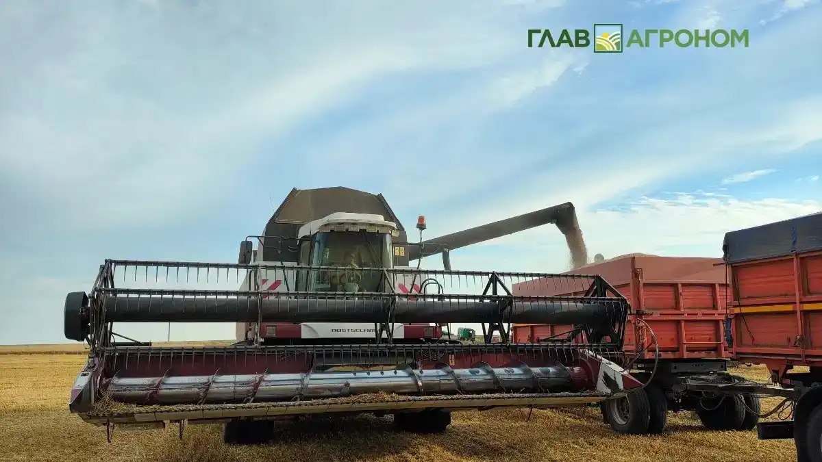 Херсонская зерновая компания в 2026 году перейдет в формат акционерного общества ГУП Херсонская зерновая компания в 2026 году будет преобразована в акционерное общество в ближайшее время на предприятии проведут полную ревизию имущества Подробнее читайте