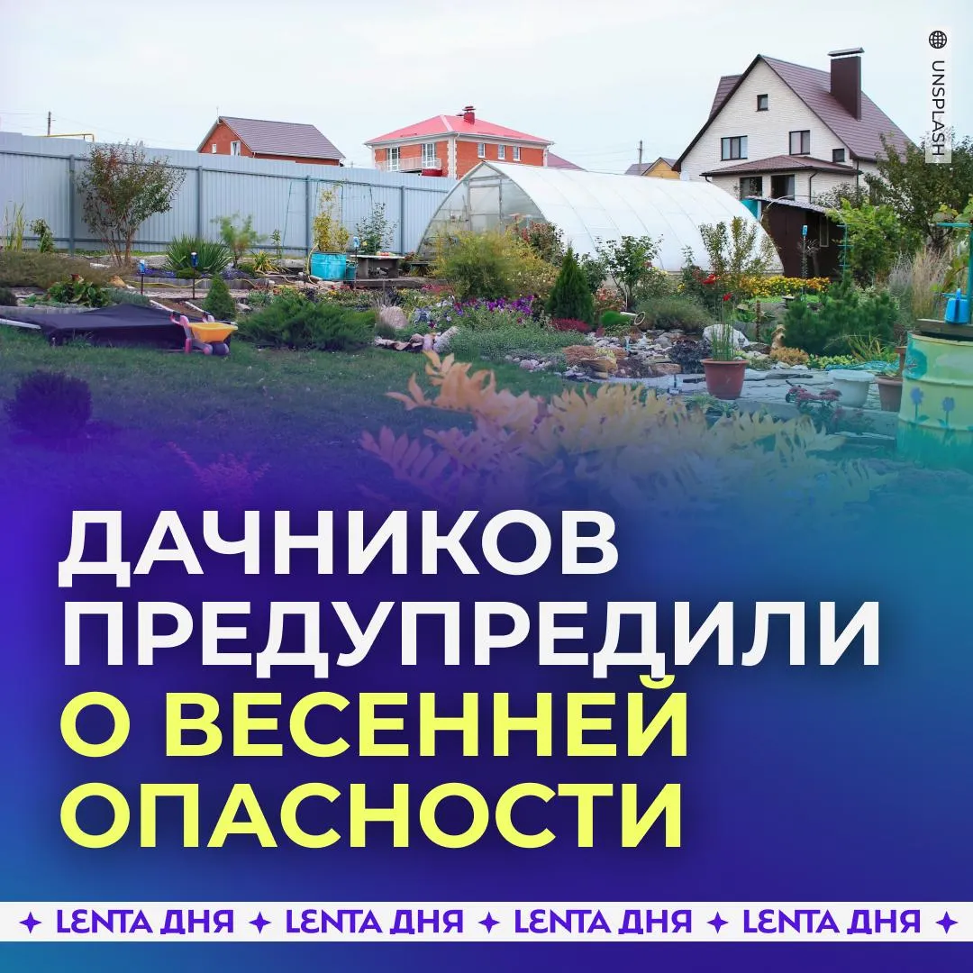 Дачников предупредили об опасном заболевании Рыжие полёвки и другие грызуны могут заразить садоводов геморрагической лихорадкой с почечным синдромом предупреждают в Роспотребнадзоре Вирус может долго сохраняться на загрязнённых предметах потому перед началом сезона следует хорошо проветрить дачный дом просшуить матрасы одеяла подушки и другие вещи Специалисты советуют проводить весеннюю уборку в перчатках и маске При заражении заболевание поражает мелкие кровеносные сосуды почки лёгкие и другие органы Подпишись на Ленту дня в МАКС