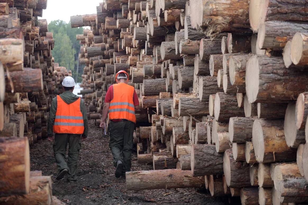 В первом квартале 2025 года отгрузки леса и пиломатериалов по железной дороге выросли на 3%, достигнув 7,7 млн тонн, сообщили в аналитическом центре «ТрансЛес». Внутренние перевозки увеличились на 4% 4,8 млн тонн , несмотря на сложности из-за теплой зимы. Однако рост экспорта связан в основном с низкой базой прошлого года, а высокие транспортные расходы сделали поставки из некоторых регионов нерентабельными. Теплая зима ограничила вывозку древесины, что привело к дефициту сырья и росту цен на пиловочник и фанерный кряж. Участники рынка отмечают, что ситуация на внутреннем рынке остается устойчивой, но экспортные поставки сталкиваются с серьезными вызовами.