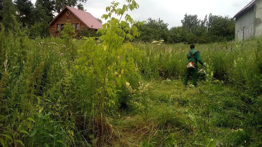 За высокую траву на дачном участке теперь можно получить штраф до 50 тысяч рублей, напоминают юристы Если земля не используется по назначению, штраф составит минимум 20 тысяч рублей. Кроме того, если участок не косить и не обрабатывать в течение трёх лет, его могут изъять.