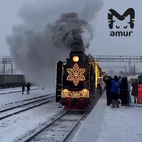 Дед Мороз на коне с красным зонтом удивил пассажиров экскурсионного автобуса в Нижегородской области