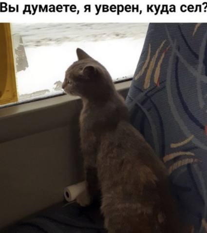 Омская мэрия планирует снова запустить два автобусных маршрута Возобновить движение хотят по маршрутам 99 и 514 Для этого ведутся поиски перевозчиков Объявления уже есть на сайте администрации Маршрут 99 свяжет микрорайон Рябиновка с поселком Чкаловским Его общая протяженность составит 27 2 километра обслуживать направление будут 12 автобусов малого класса Работа по восстановлению этого маршрута между прочим ведется уже долго Например о подобном конкурсе сообщалось еще в феврале но уже через месяц он был отменен из за отсутствия желающих перевозчиков Маршрут 514 пройдет от улицы Бархатовой до 3 го Разъезда Длина этого пути 19 3 километра Для работы на нем планируется задействовать 10 автобусов среднего класса Оба маршрута будут работать на условиях нерегулируемого тарифа А вы ждете возвращение этих маршрутов Пишите в комментариях Написать в редакцию можно здесь gorod55ru