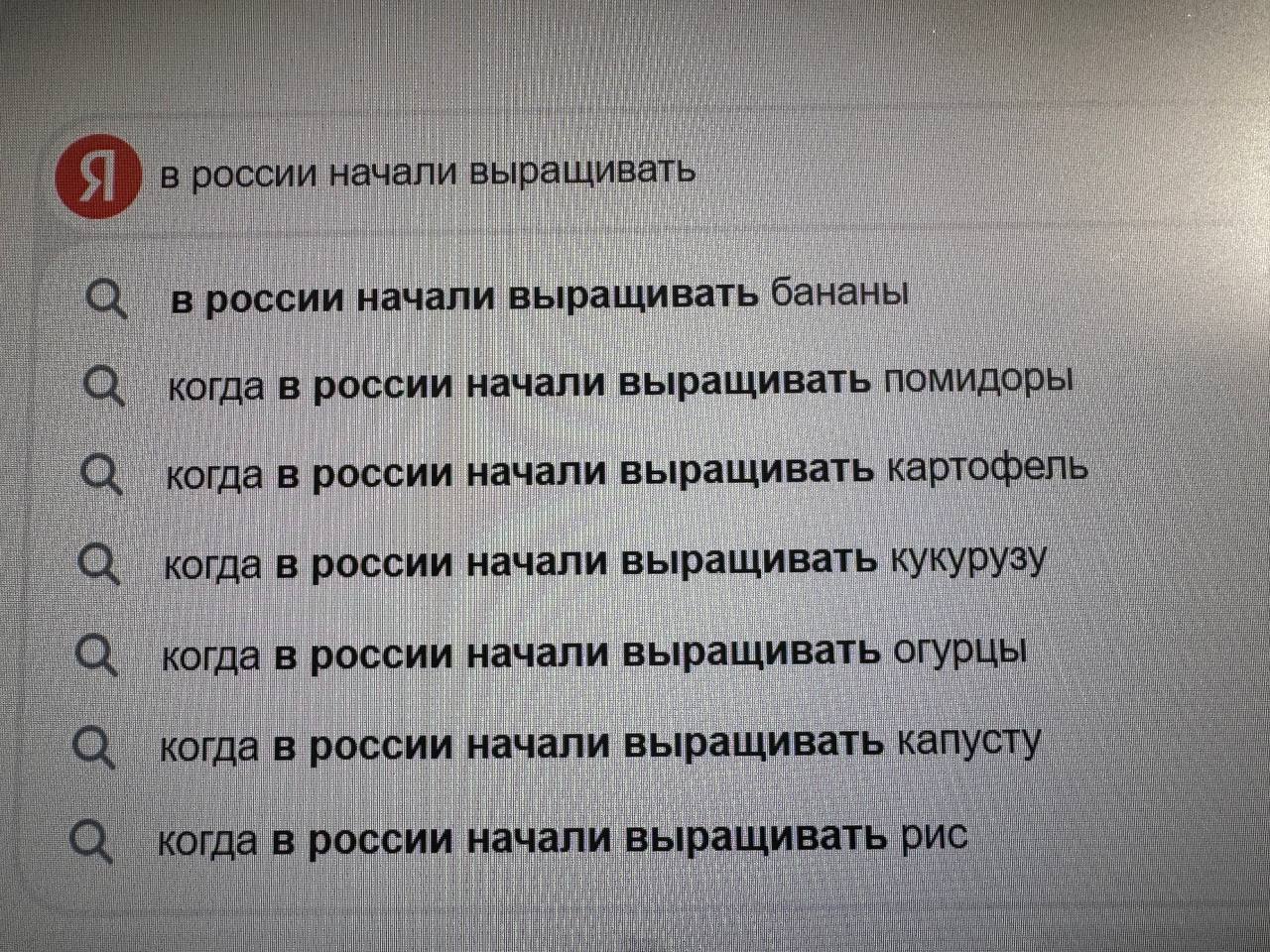 Бананы вышли на первое место в поиске «в России начали выращивать», после того как Путин сказал, что у нас начали выращивать этот экзотический фрукт   Первые бананы обещают показать в конце этого года. Муляж бананов для фильма «Старик Хоттабыч» на Ленфильме сделали в 1956 году.