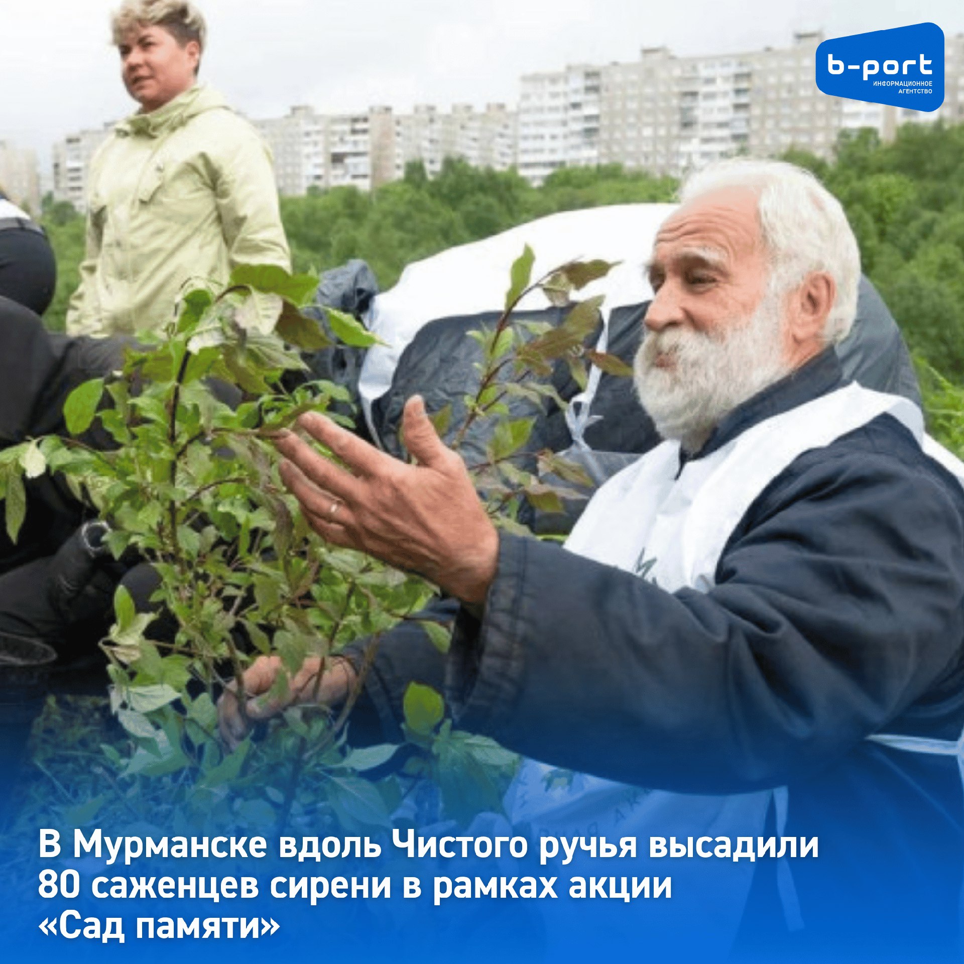В Мурманске вдоль Чистого ручья высадили 80 саженцев сирени в рамках акции «Сад памяти» В среду, 18 июня 2025 года в Мурманске участники акции «Сад памяти» высадили аллею из 80 саженцев сирени вдоль Чистого ручья. Мероприятие прошло в День стойкости и мужества мурманчан в годы Великой Отечественной войны. Важно, что такие мероприятия позволяют не только увековечить память о героях, погибших во время военных действий, но и внести весомый вклад в сохранение наших лесов», – отметил заместитель начальника департамента лесного хозяйства по Северо-Западному федеральному округу Сергей Ердяков. Памятные аллеи высадили во всех городах-героях России. «Мы все сквозь историю вспоминаем подвиги наших дедов, мы чтим память, передаём её в поколениях и вместе с этим вносим вклад в сохранение окружающей среды. Пока растут эти деревья – жива и память о Великой Победе», – отметил и.о. министра природных ресурсов, экологии и рыбного хозяйства Мурманской области Дмитрий Банников. Фото: организационный комитет «Сад памяти»