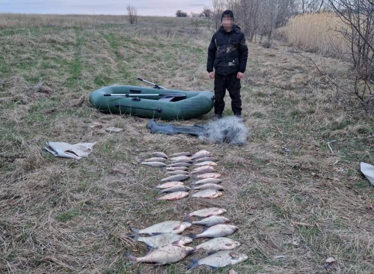 Выловили 40 рыб, в их числе лещ, карась и судак: на Дону задержали двух рыбаков Транспортные полицейские в акватории Цимлянского водохранилища в притоках рек Цимла и Россошь задержали двух браконьеров. Об этом сообщает пресс-служба УТ МВД России по СКФО. Ими оказались жители Волгоградской и Ростовской областей 2000 и 2001 годов рождения. «У злоумышленников изъяты резиновые лодки, ставные лесковые сети длиной более 110 м и 40 рыб различных пород, включая леща, карася и судака», – сообщает источник. Нанесенный ущерб составил более 43 тыс. рублей. В отношении задержанных возбуждены уголовные дела по статье «Незаконная добыча вылов водных биологических ресурсов». Им может грозить до трех лет лишения свободы. Подписаться на "Новости Ростова" Прислать новость