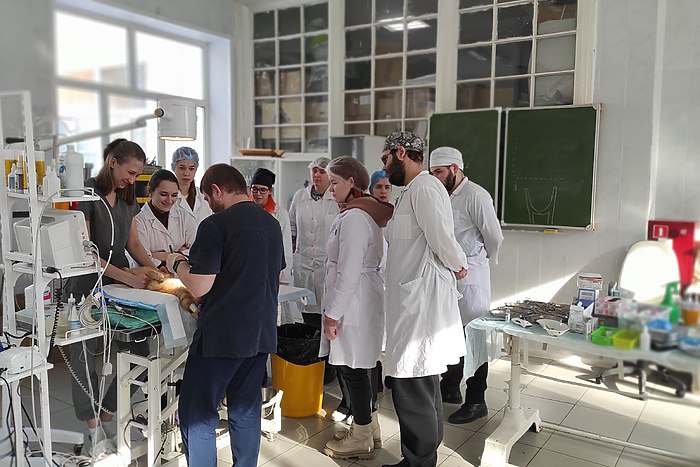 УрГАУ открывает запись на бесплатную стерилизацию домашних животных Но не для всех Центр реабилитации животных Уральского государственного аграрного университета запускает новую волну бесплатных операций по стерилизации домашних питомцев воспользоваться которой смогут участники СВО и их семьи пенсионеры зооволонтеры и люди с ограниченными возможностями здоровья Проект реализуется с использованием гранта Президента Российской Федерации на развитие гражданского общества предоставленного Фондом президентских грантов Записаться на бесплатную стерилизацию можно по телефону 7 912 667 00 70 Кастрация животных не имеющих племенной ценности это важный шаг к ответственному отношению к животным и снижению числа бездомных питомцев Мы постоянно об этом говорим и рады что можем помочь владельцам заботиться о здоровье своих четвероногих друзей отметила руководитель Центра реабилитации животных Елизавета Скорынина uralweb ru
