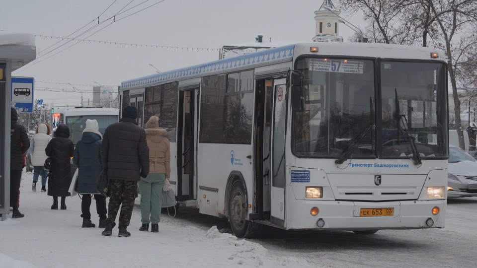 ‍  Жители Башкирии пожаловались на отсутствие маршрутки в семи населенных пунктах. Власти заявили об острой нехватке водителей  По словам главы Куюргазинского района Юлая Ильясова, речь идет о маршруте Кумертау-Красный Маяк. Он охватывает более семи населенных пунктов.  «Проблему с перевозками уточнили у подрядчика – это отсутствие водителей. Чтобы решить вопрос, надо найти их! <…> Зарплата от 31 500 т.р., график 3/2», — написал в своих соцсетях Юлай Ильясов.  Отметим, по данным Минтруда Башкирии, водитель – одна из самых распространенных вакансий региона.