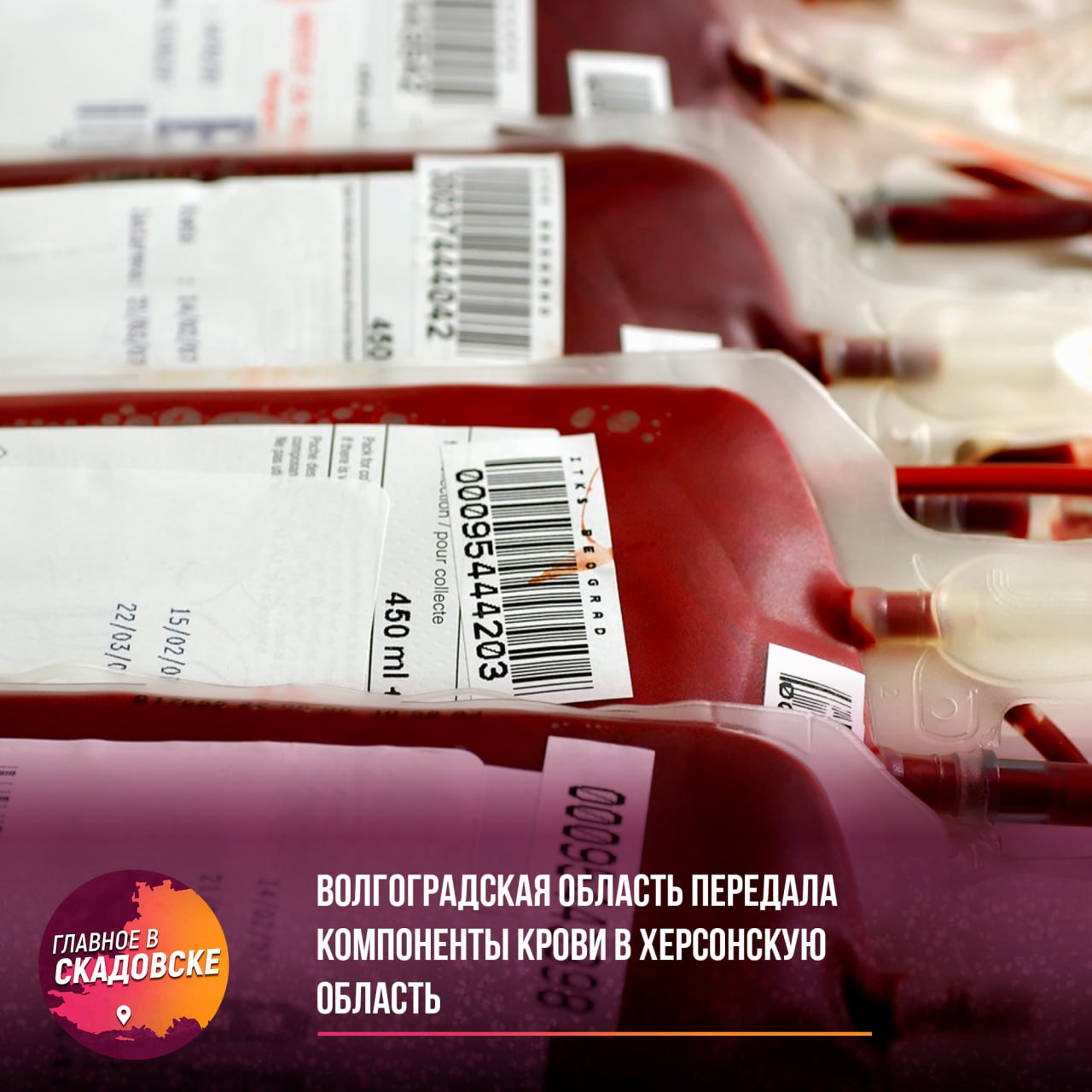 Волгоградская область передала компоненты крови в Херсонскую область Волгоградский областной центр крови осуществил передачу около 200 литров компонентов донорской крови для нужд медицинских учреждений Херсонской области. Эти компоненты были заготовлены от жителей Волгограда и его области. В отправлении содержится почти 90 литров эритроцитсодержащих компонентов и более 100 литров свежезамороженной плазмы. Транспортировка осуществлялась с соблюдением всех необходимых температурных условий в специализированных рефрижераторах. Подобные поставки проводятся регулярно, и в прошлом году коллектив Волгоградского областного центра крови получил благодарность от Министра здравоохранения РФ за поддержку медицинских организаций Херсонской области.