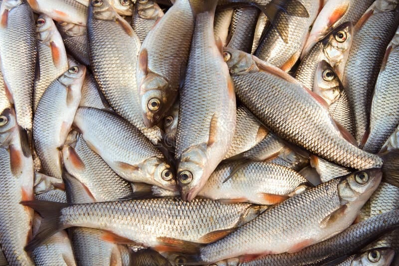 Предприятие Иркутской области по переработке рыбной продукции стало призёром окружного этапа премии «Экспортёр года»  Первой среди предприятий Сибири в номинации «Прорыв года» стала ИП «Шарпинская», экспортирующая рыбу холодного копчения всех видов разделки и замороженную рыбу. Также оно заняло 3-е место в номинации «Экспортер года в сфере базовой продукции АПК» в категории «Малое и среднее предпринимательство».  «Предприятие - постоянный участник конкурса «Экспортер года». Оно достойно представляет не только свои экспортные достижения, но и в экспортный потенциал пищевой и перерабатывающей промышленности Приангарья. Поздравляем региональный бренд с высокими результатами окружного этапа», - сказала первый заместитель министра сельского хозяйства Иркутской области Марина Кожарина.  Премия проводится ежегодно по нацпроекту «Международная кооперация и экспорт» и присуждается организациям и индивидуальным предпринимателям, достигшим значительных успехов в экспорте несырьевых неэнергетических товаров и услуг.