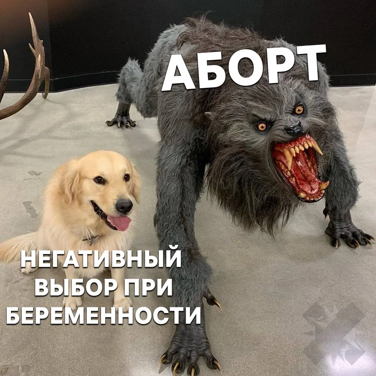 В Калужском Минздраве аборт заменили на негативный выбор при беременности В ведомстве решили что слово аборт звучит недостаточно полно и не отражает возможные последствия для здоровья женщины в том числе психологические новый уровень формулировок зачем поменяли НМШ