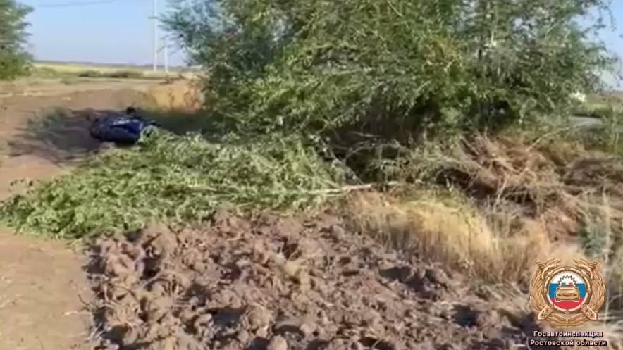 Водитель погиб на месте: в Багаевском районе мотоциклист врезался в дерево  Сегодня, 30 июля, около 5:55 утра на автодороге «Манычская — Красный — Отрадный» произошло смертельное ДТП. По предварительным данным, 44-летний водитель мотоцикла «Ямаха» не справился с управлением, съехал с дороги и врезался в дерево.   От полученных травм он погиб на месте. На месте происшествия работают сотрудники ГИБДД и следователи, которые устанавливают все детали случившегося.